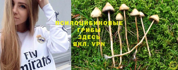 винт Алексеевка